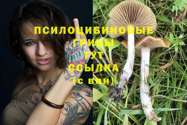 каннабис Медвежьегорск