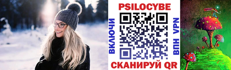 гидра вход Дудинка Галлюциногенные грибы Psilocybine cubensis